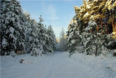 科幻生存RTS《黑月》上架Steam 支持简体中文